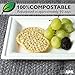 Ilyapa 50 Biodegradable Disposable Square Plates - 6 Inch White Compostable & Microwavable Tree Free Sugarcane Plates for Dessert, Salad or Appetizer, Bulk Set