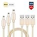 iPhone Cable 3 Pack (3ft 6ft 10ft) Elktry Fast Charging Data Sync Cord Wire 8 Pin Nylon Braided Lightning to USB Cable for iPhone SE 6 6s 6Plus 7 7Plus 5s 5c 5 iPad iPod (Fashionable Gold)