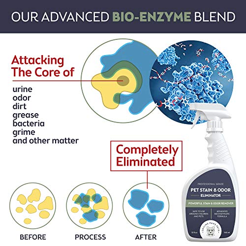 Smiling Paws Pets Cat Urine Odor Remover, Professional Dog Urine