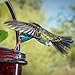 Mosaic Birds Hummble Slim Hummingbird Feeder, M045-301, 3.4 Ounce Capacity, Clear, 1 Piece