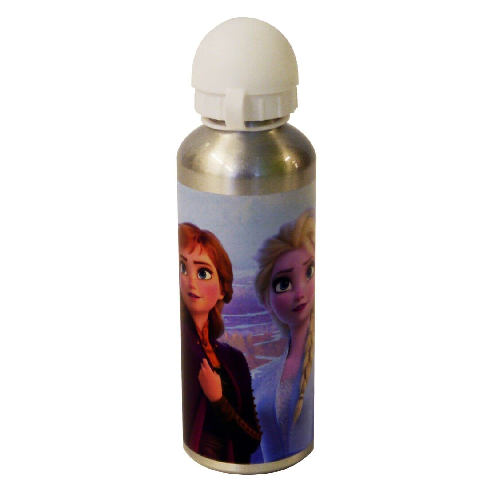Templar M Frozen Characters Aluminium Water Bottle