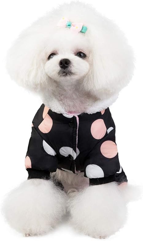 Shih tzu waterproof dog coats Outlet