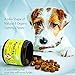 Pawrennial Glucosamine for Dogs - 140 Soft Chews Treats - Natural & Organic Hip and Joint Supplement for Dogs, Glucosamine Chondroitin for Dogs, MSM Turmeric & Hemp Seed Virgin Oil Omega 3-6