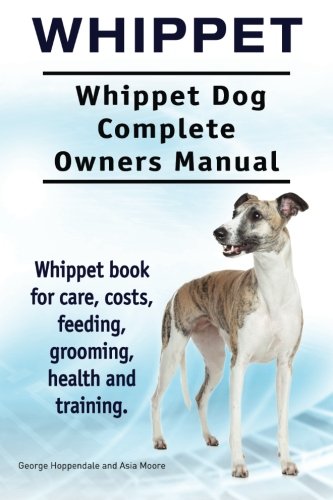 whippet care