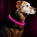 Bseen Led Dog Collar, Usb Rechargeable, Glowing Pet Dog Collar For Night Safety, Fashion Light Up Collar For Small Medium Large Dogs (Candy Pink)