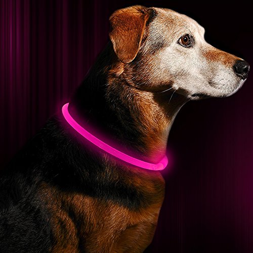 Ezier Safety Led Dog Collar-USB Rechargeable Light Up Dog Collars Glowing Dog Collar Light (Pink)