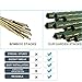 G-LEAF 4Ft Tomato Garden Stakes Cage Plastic Coated Steel Tube Plant Sticks for Tomato,Cucumber,Bean,Tree,Pack of 25