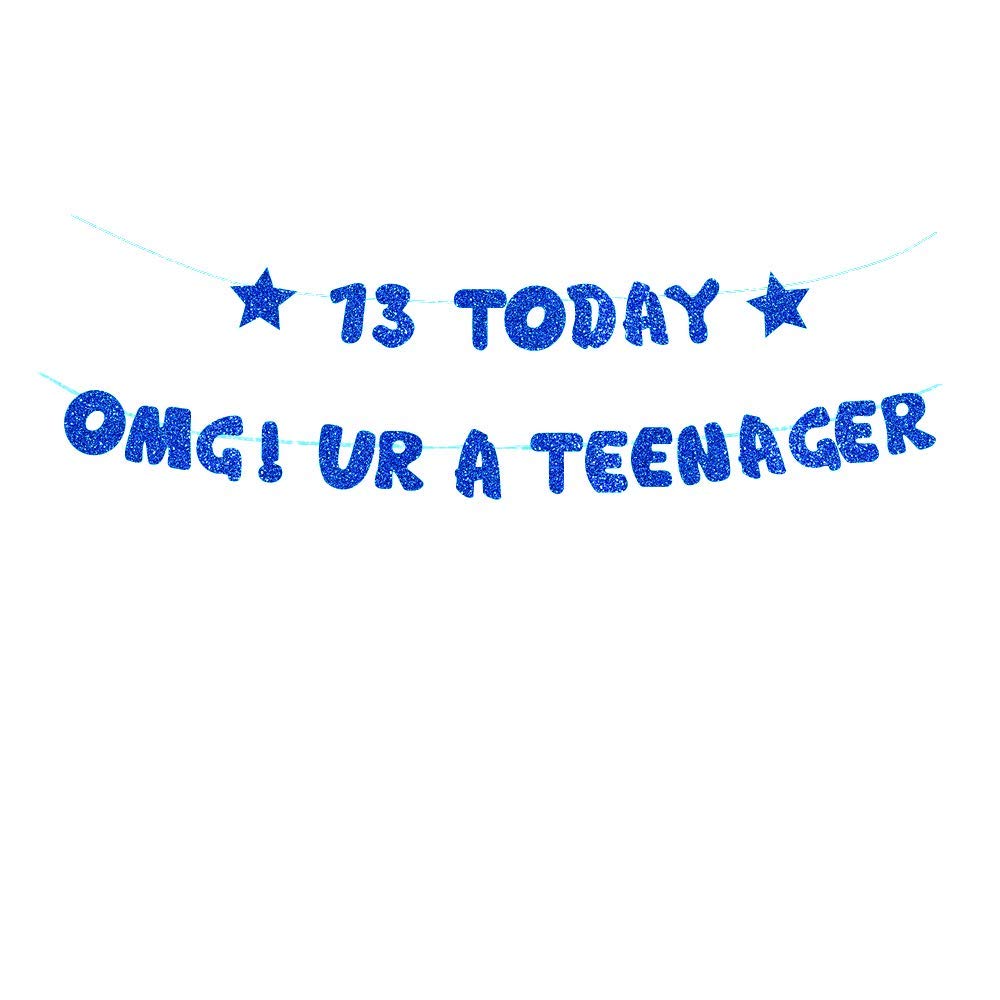 13th Birthday Banner for Boys - OMG UR A Teenager Party Bunting Paper Banner Backdrop - Blue