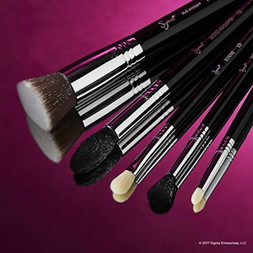 Sigma MostWanted Brush Set Includes 5 of our Favorite Brushes