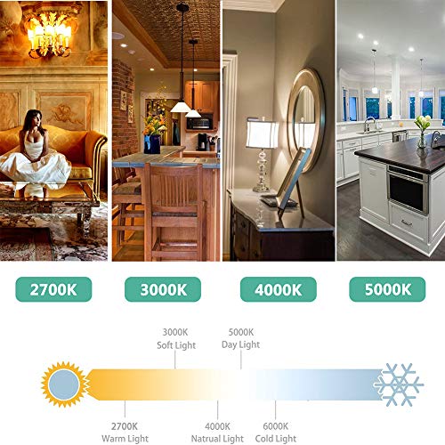 Br30 Daylight Led Bulb, 12W(100W Equivalent), R30 Wide Flood Light Bulb