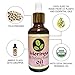 MORINGA AGE DEFYING BEAUTY OIL 1.7 oz Smooths & Nourishes Skin, Rich in Antioxidants & Nutrients, It Penetrates Deeply for Rich Benefits with Organic Moringa Oil & 14 Essential Healing Oils