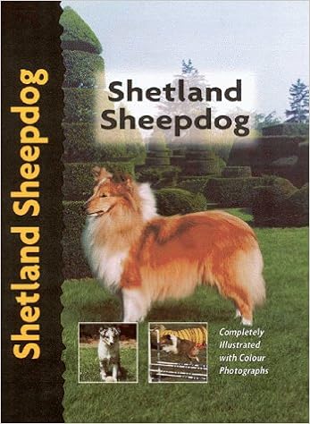 Shetland Sheepdog (Pet love) �n�[�h�J�o�[ - 2000/1/1