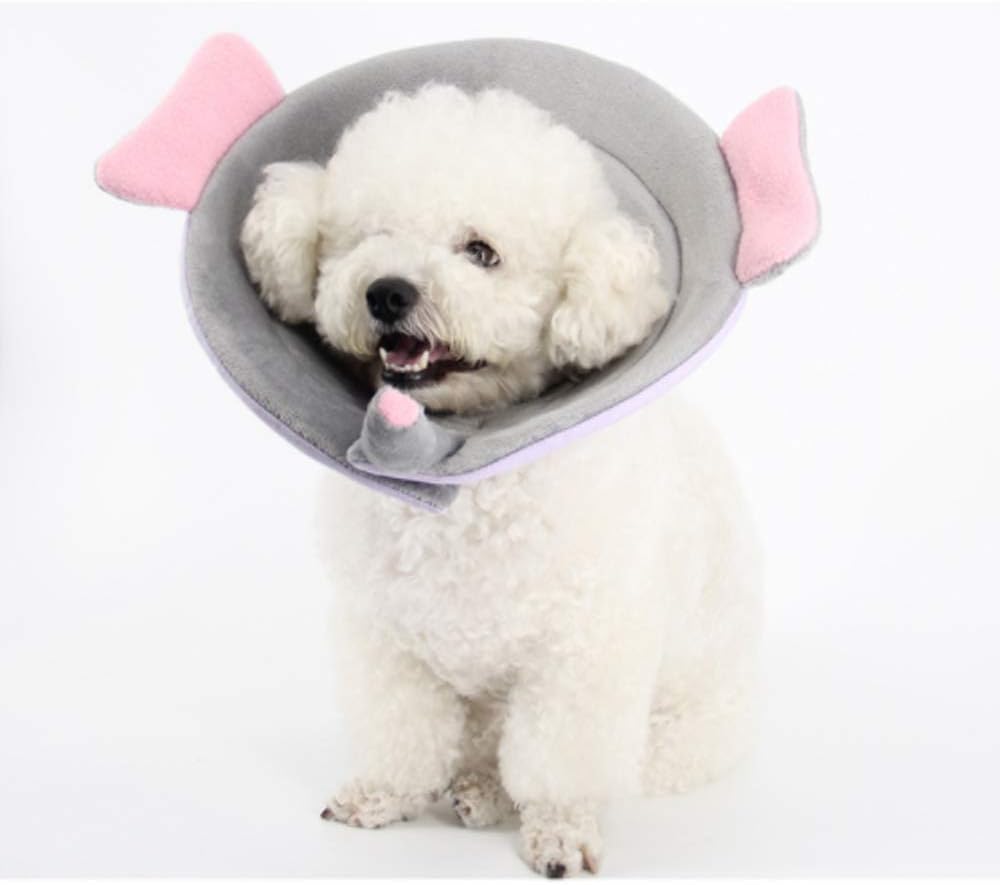 Bello Luna Soft Cone Neck Protection for Dogs and Cats with Elephant Shape (Size L)