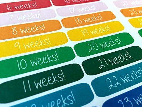 Planner Glitz 4 Sheets Decorative Planner Stickers - Pregnancy Tracker - Multicolored