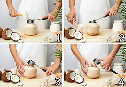 2 CocoNUT+Coconut+Opening+Stainless+Removal