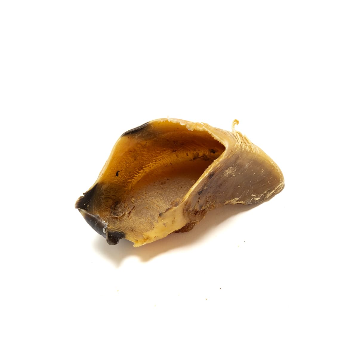 Natural Treats British Dried Hooves (Beef-3pcs) 100% Natural Long Lasting Dog Treats