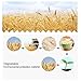 shopwithgreen Wheat Straw Cereal Bowls, Resuable Bowls for Kitchen, Set of 4, Microwave and Dishwasher Safe, Bowls for Soup, Oatmeal, Ramen, RV, Camping, College Dorm Room, 30 OZ