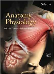 Anatomy Amp Physiology Text Only 4th Fourth Edition By K