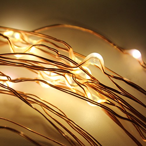 String Fairy Lights,6 Six-Ft Strands,20 Warm White LEDs per strand(120 total),Flexible Copper Wire for Glowing Watering Can with Light,Waterproof,Battery Operated,8 Modes Remote Control with Timer