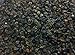 Buckwheat Seed Bulk 1 Lb Forage Food Plot Unhulled Cover Crop