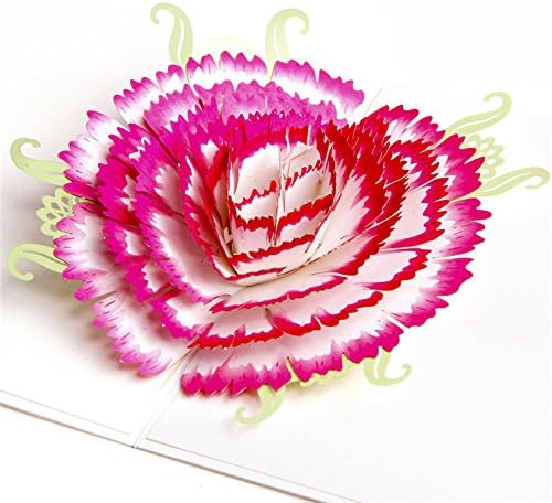 HUNGER Handmade 3D Pop Up Carnation Flower Birthday Cards Creative Greeting Cards Papercraft (Carnation)