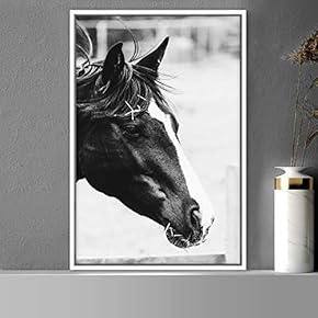 signwin Framed Canvas Wall Art High Contrast Horse...