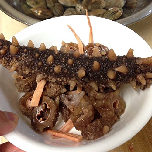 Alaska Red Dried Sea Cucumber-natural Sun Dried(Medium)1lb, Grade AAA