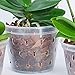 DAN Market Orchid Breathable Slotted Clear Plastic Pot (5.5 inch (4 Pack))