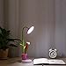 Small Desk lamp,YZtree Eye-Care Table Lamp for Kids Touch Control Dimming Light Flexible USB Rechargeable Desk Lamp with Cute Pen Container(Pink)