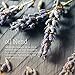NOW Essential Oils, Peaceful Sleep Oil Blend, Relaxing Aromatherapy Scent, Blend of Pure Essential Oils, Vegan, 1-Ouncethumb 2