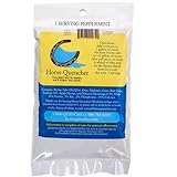 Horse Quencher Single Serving Travel Pack - Peppermint