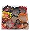 R&M International Autumn Leaf Cookie Cutters, Acorn, Ivy, Apple, Oak, Pumpkin, Maple, Squirrel, 7-Piece Set