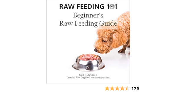 raw feeding for beginners