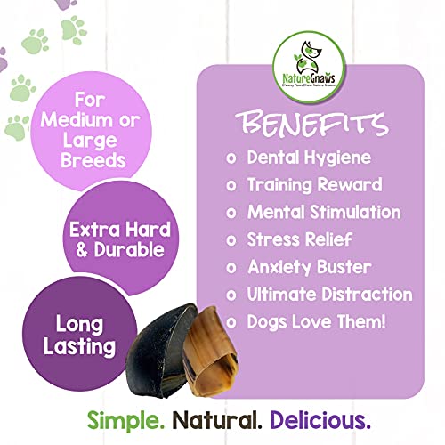 Nature Gnaws Cow Hooves for Dogs Premium Natural Hard Dental Chews