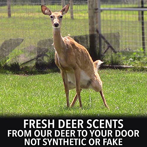 Outdoor Hunting Lab Calming Scent Doe Urine (2 Bottle) Buck Lure for Whitetail Deer Hunting
