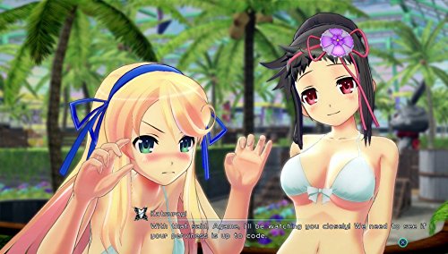 Senran Kagura Peach Beach Splash - No Shirt, No Shoes, All Service Edition - PlayStation 4 - Thumbnail 7