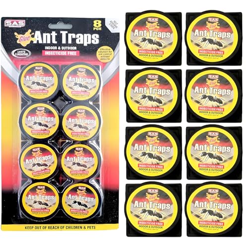 Brandheißer Deal! Preis-Leistungs-Tipp: Ameisenköderdose,Ameisenkö für 12,99€. Lohnt sich definitiv!