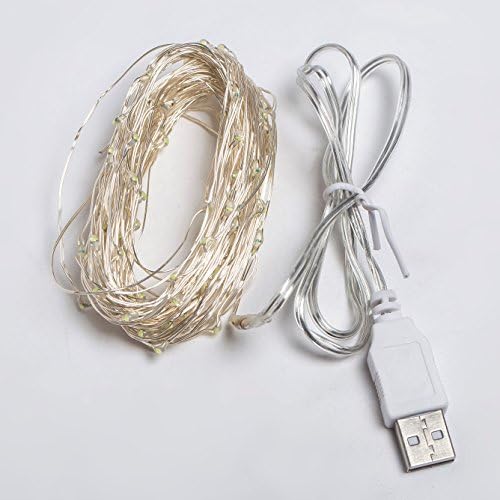 Classic CBL Festival decorative lamp USB Plug In, 33Ft 100 LED Warm White Waterproof Starry String Lights for Bedroom Indoor Outdoor Decorative (Positive white)