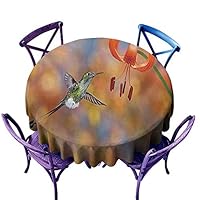 AGONIU Water Resistant Table Cloth,Hummingbird The Booted Racket Tail Feeding Nectar from Tiger Lily Blur Background Photo,Table Cover for Home Restaurant,40 INCH Orange Green