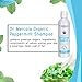 Dr. Mercola Organic Peppermint Shampoo for Dogs - 8 fl oz