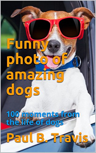 Funny photo of amazing dogs: 100 moments from the life of dogs