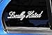 iJDMTOY (2 JDM Locally Hated Die-Cast Vinyl Decals, Funny Style JDM Stickers for Car Windshield, Side Windows, Bumpers, etc