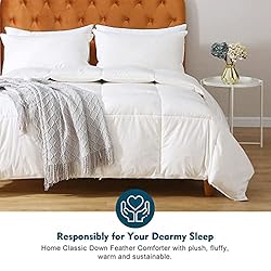 Oaken-Cat Feathers Down Comforter Twin