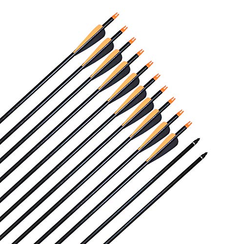 CQ Archery Practice Arrows for Recurve/Compound Bow or Traditional Bow (Targeting and Hunting) 30 inch Shaft with Removable Tips 12 Pack