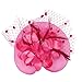 ACTLATI Fascinators Hat for Women Tea Party Headpiece Wedding Cocktail Flower Mesh Feathers Hair Clip 20s Flapper Fascinators