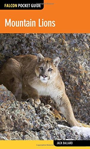 Mountain Lions (Falcon Pocket Guides)