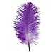 10pcs High Quality New Style Real Natural 7-10 Inch Ostrich Feathers Great Decorations (Purple)