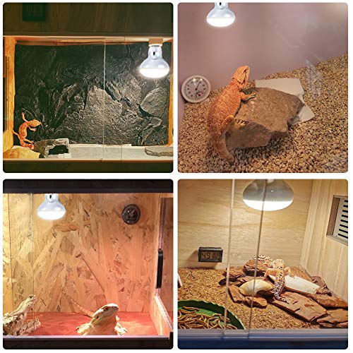 LUCKY HERP 2Pack 100W Reptile Heat Bulb, Basking Spot Heat Lamp for
