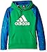 adidas Big Boys' Active Hoodie, Green/Collegiate Royal, Medium/10-12