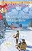 His Mistletoe Family: A Fresh-Start Family Romance (Men of Allegany County Book 6) by Ruth Logan Herne